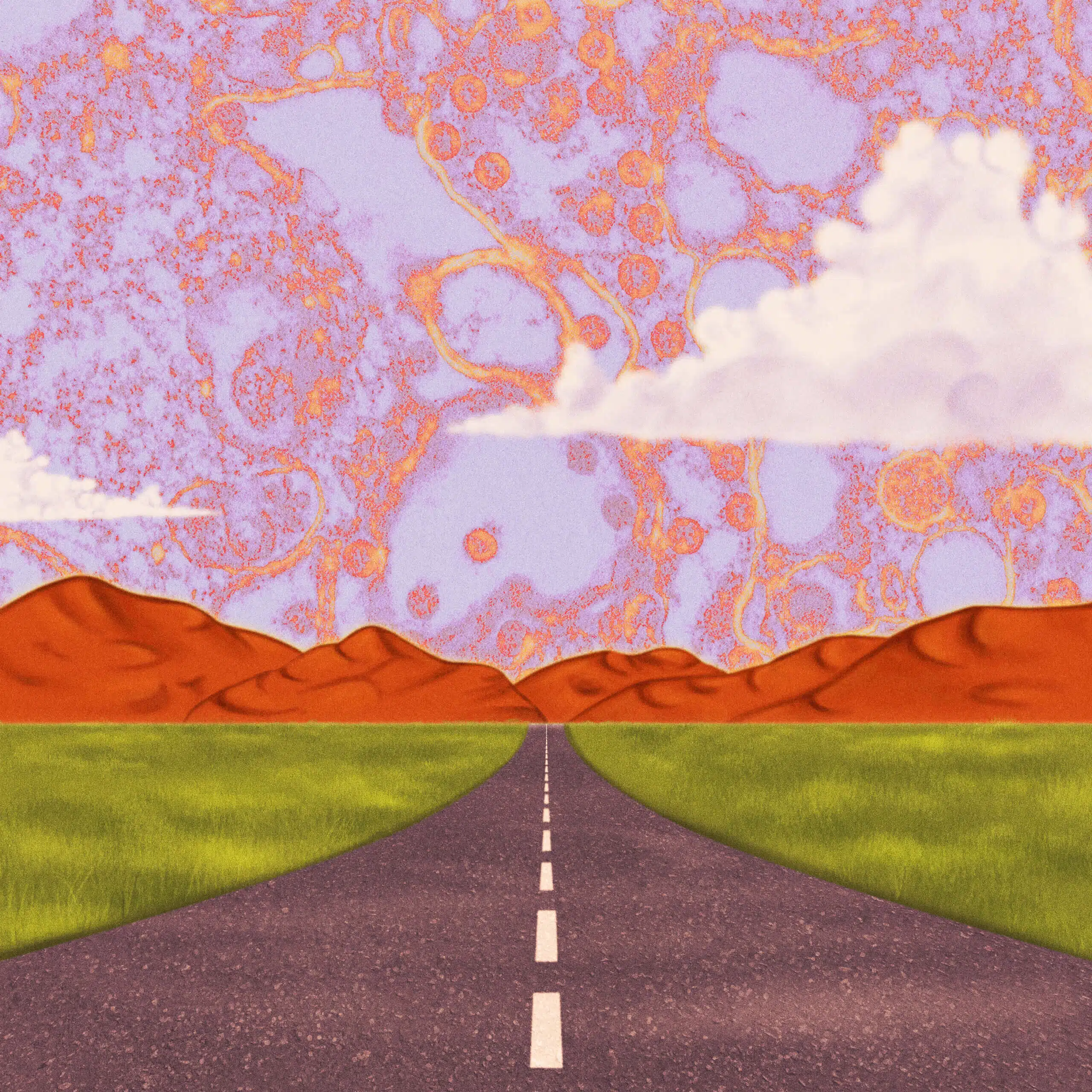 cover_road_illustration